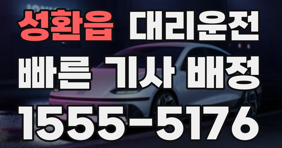 일일대리기사