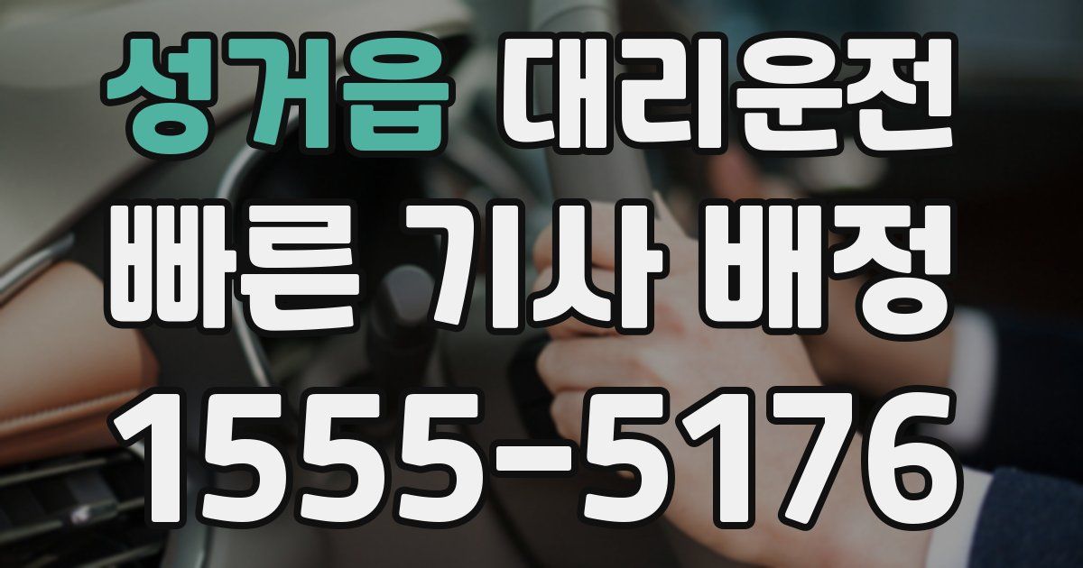 일일대리기사
