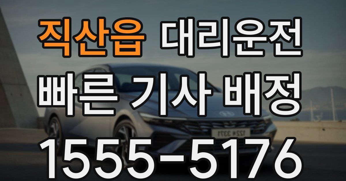 일일대리기사