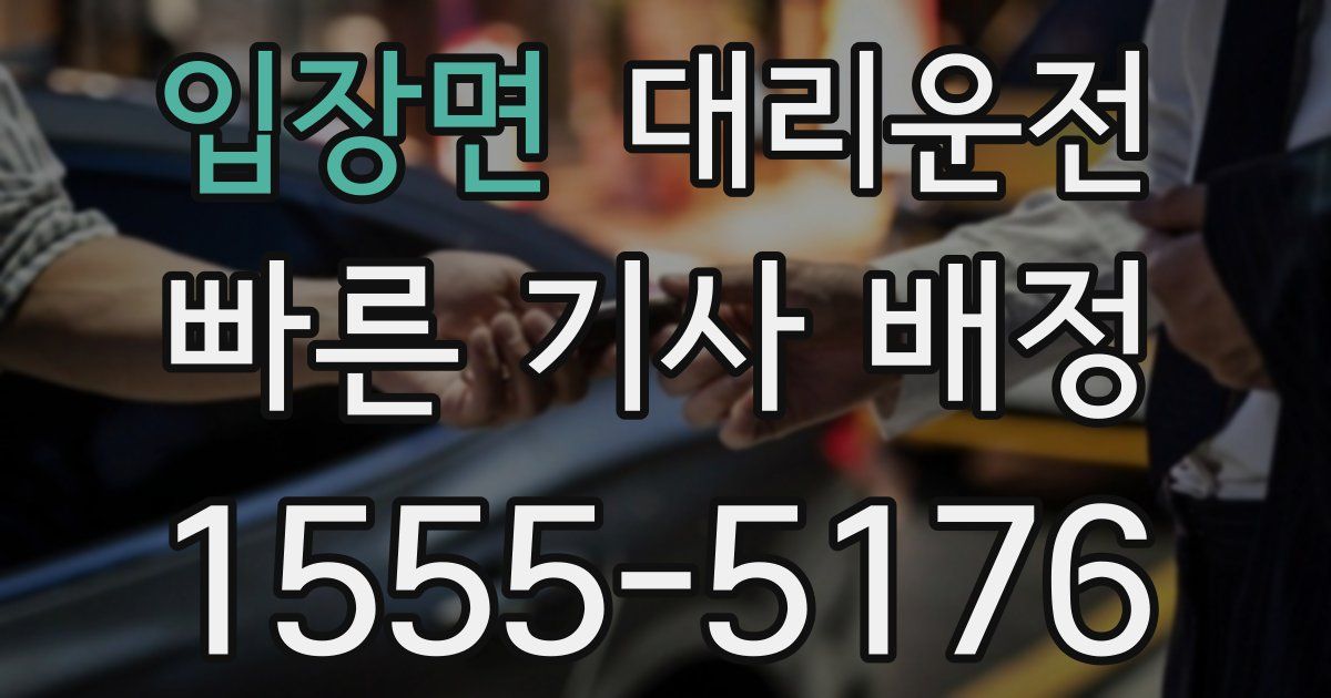 일일대리기사