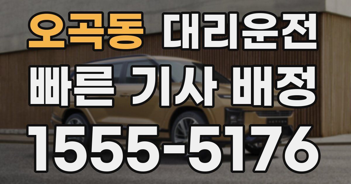 일일대리기사
