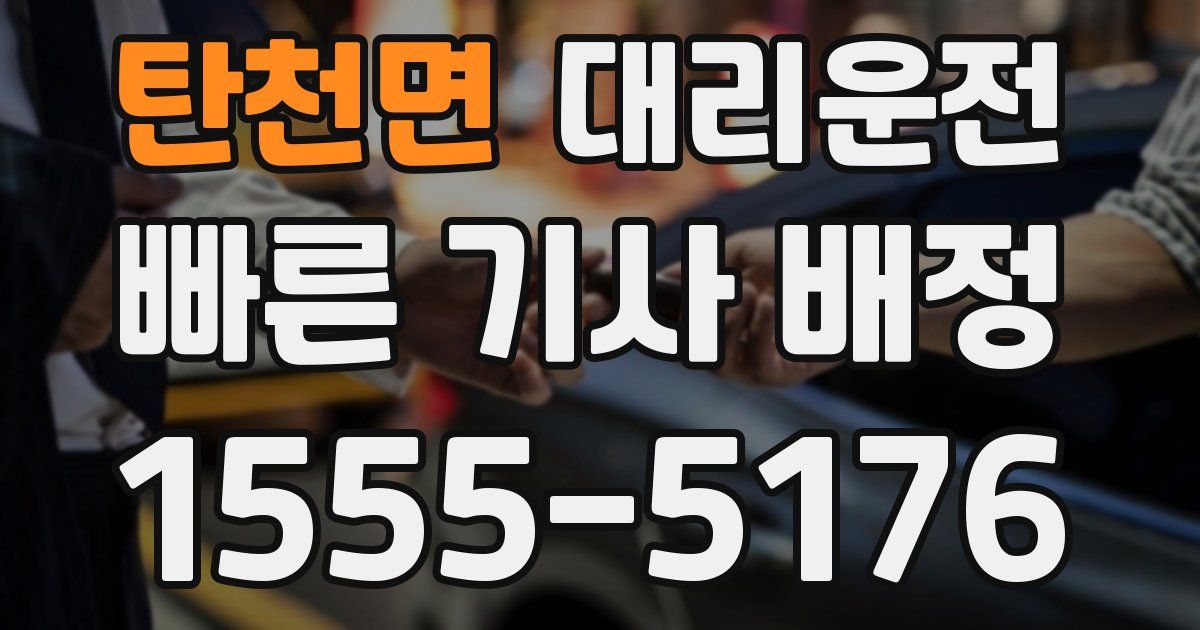 일일대리기사
