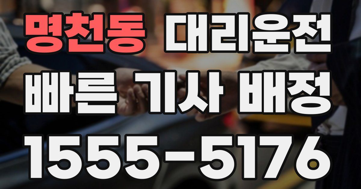 일일대리기사