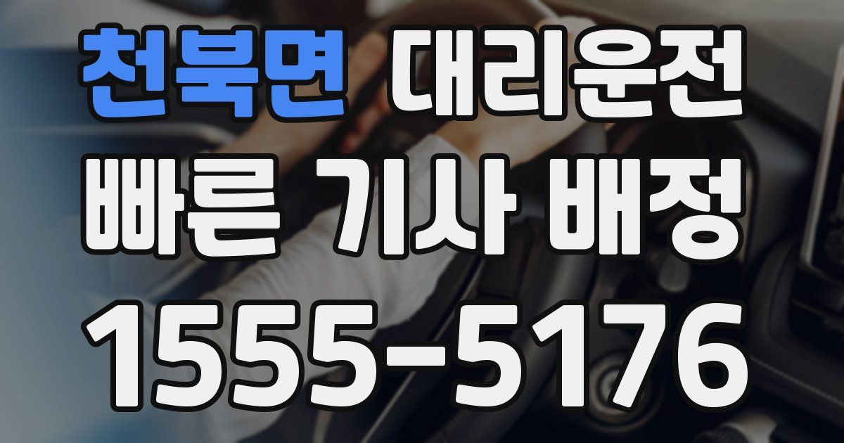일일대리기사