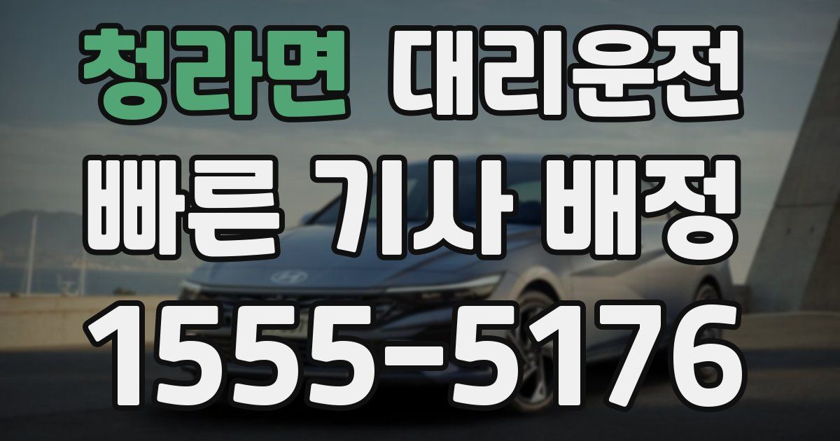 일일대리기사