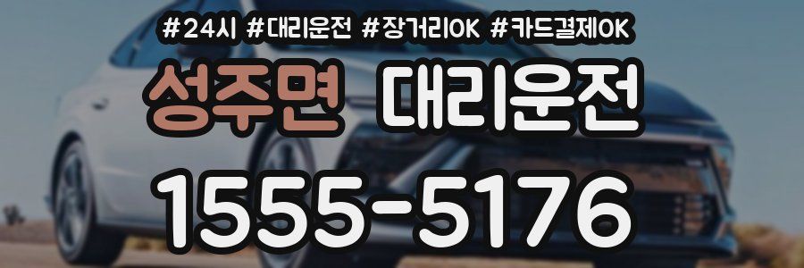 성주면 대리운전