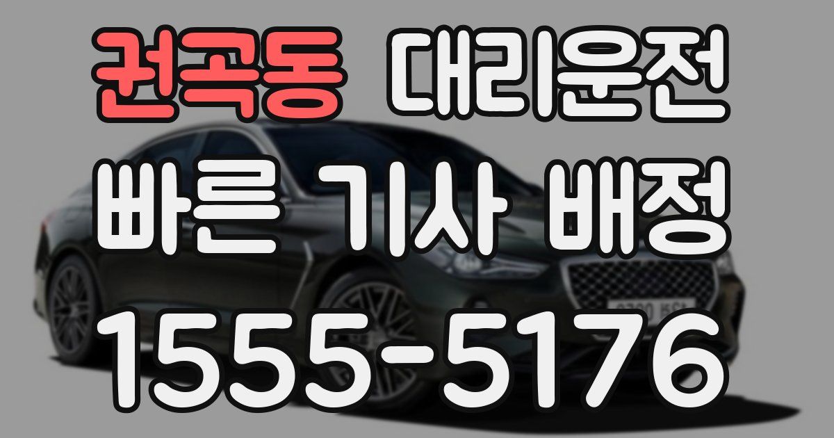 일일대리기사