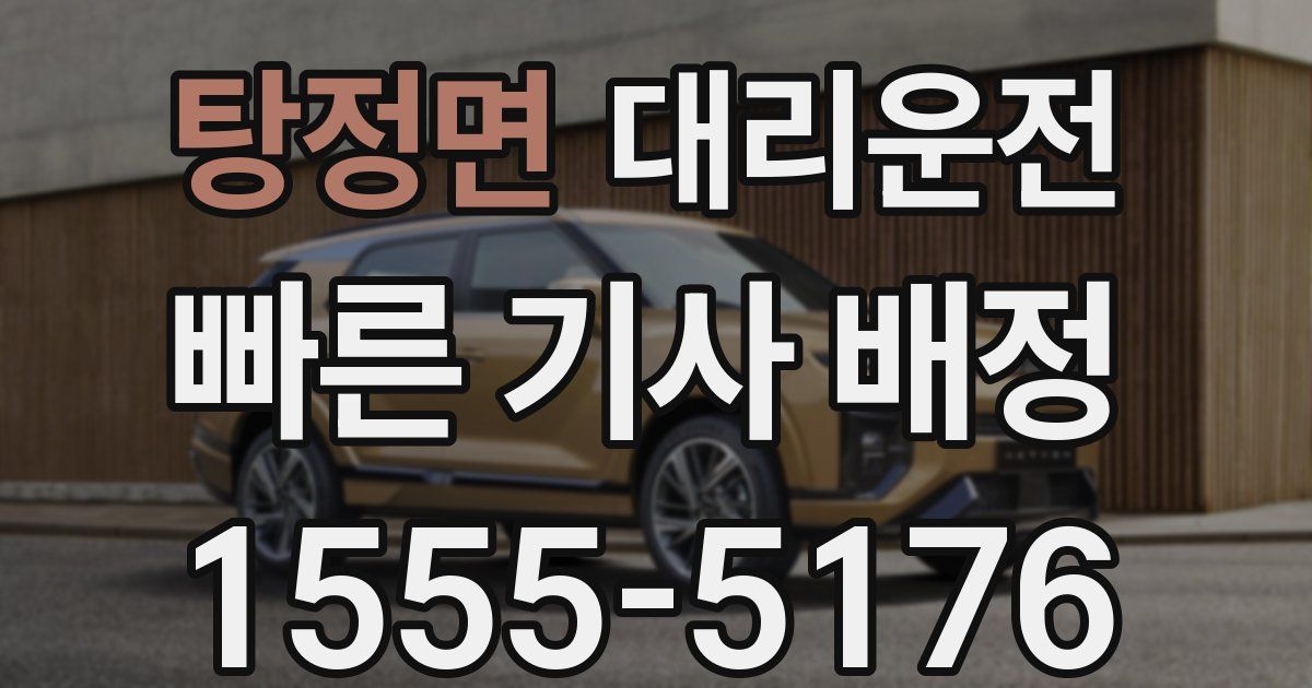 일일대리기사