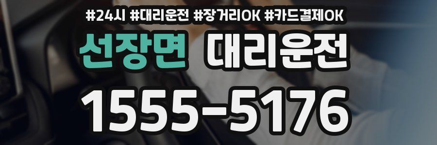 선장면 대리운전