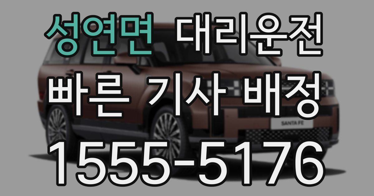 일일대리기사