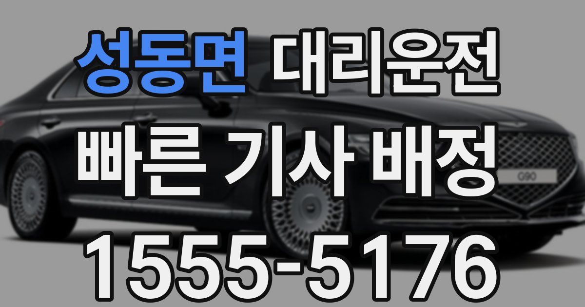일일대리기사