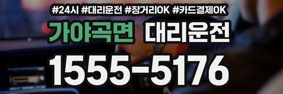 가야곡면 대리운전