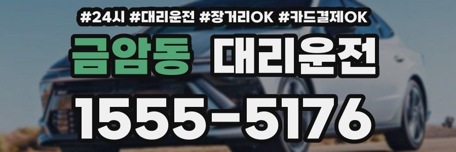 금암동 대리운전