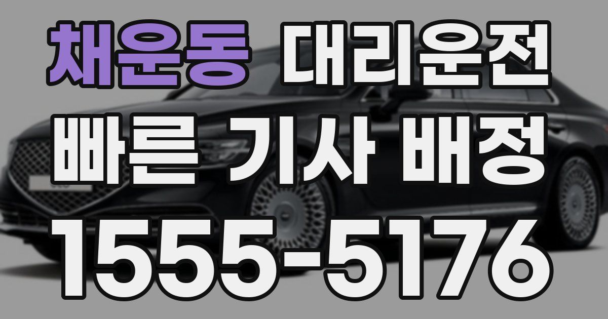 일일대리기사