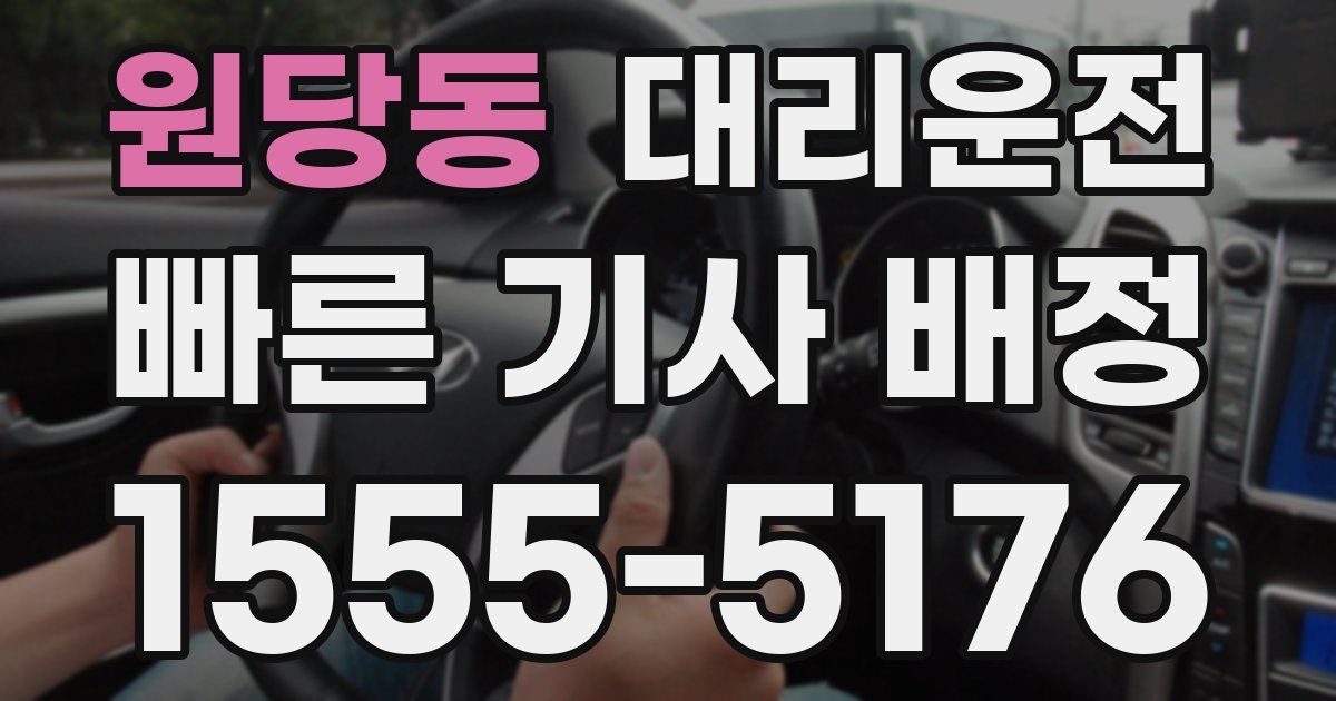 일일대리기사
