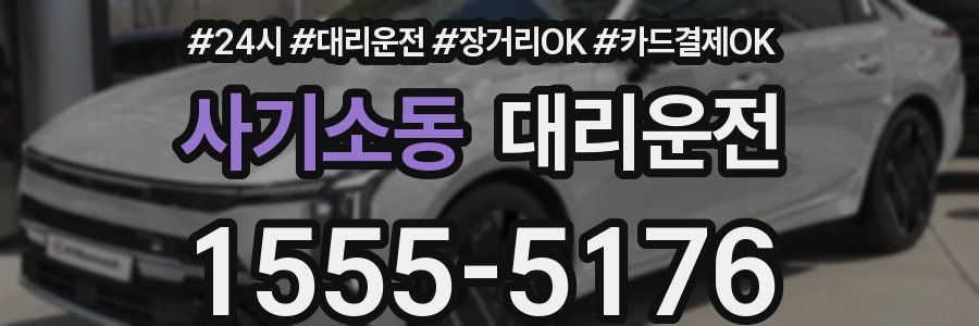 사기소동 대리운전
