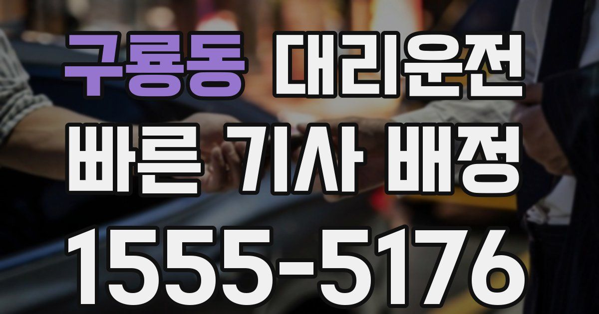 일일대리기사