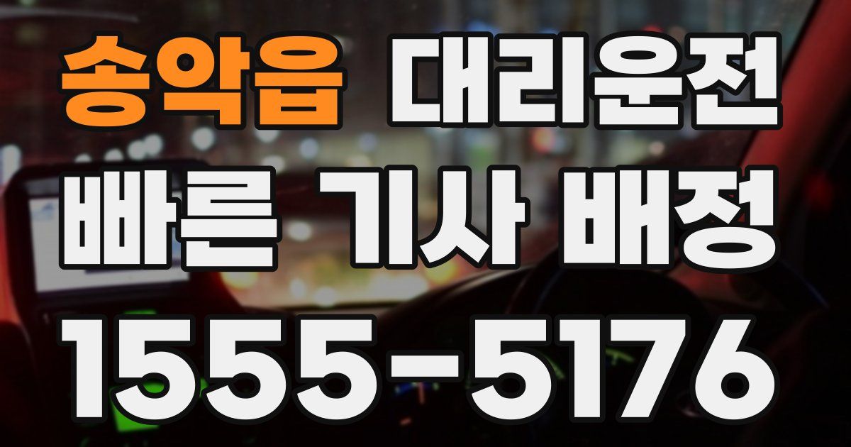 일일대리기사
