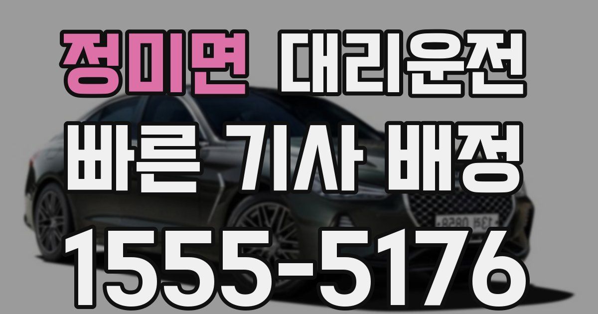 일일대리기사