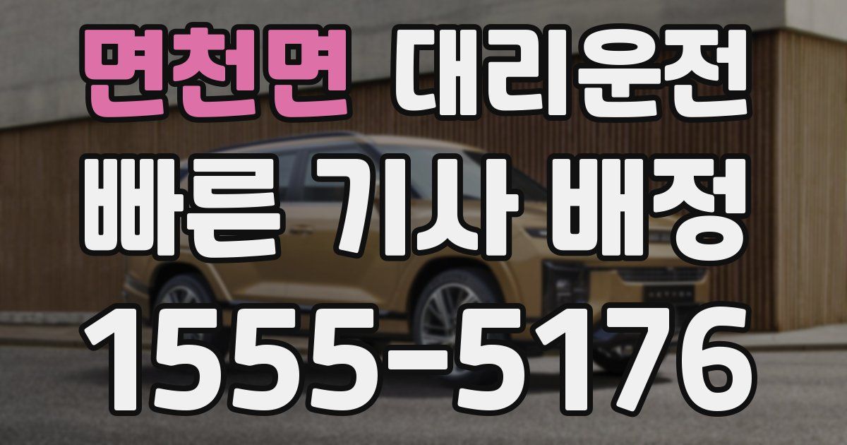 일일대리기사