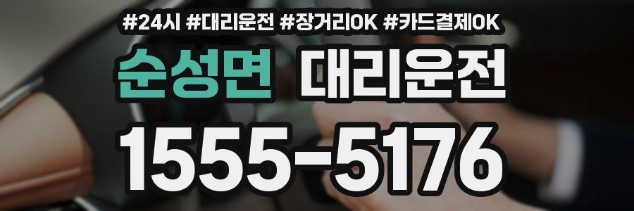 순성면 대리운전