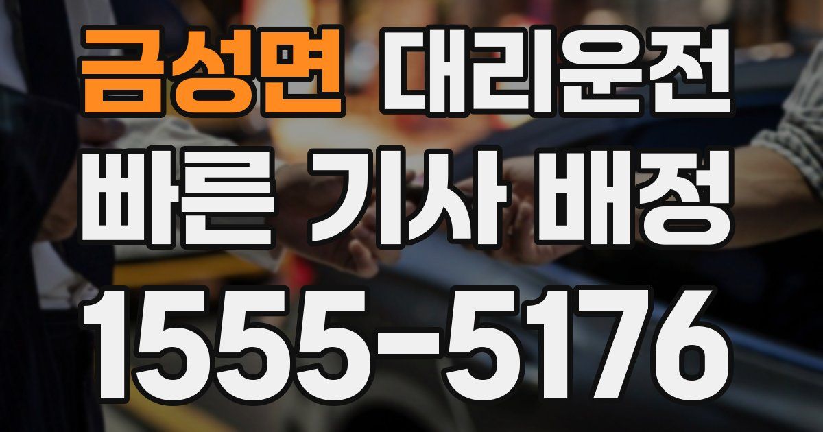 일일대리기사