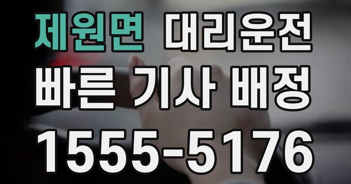 일일대리기사