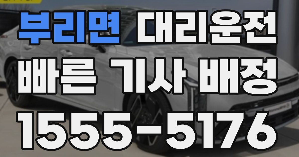 일일대리기사