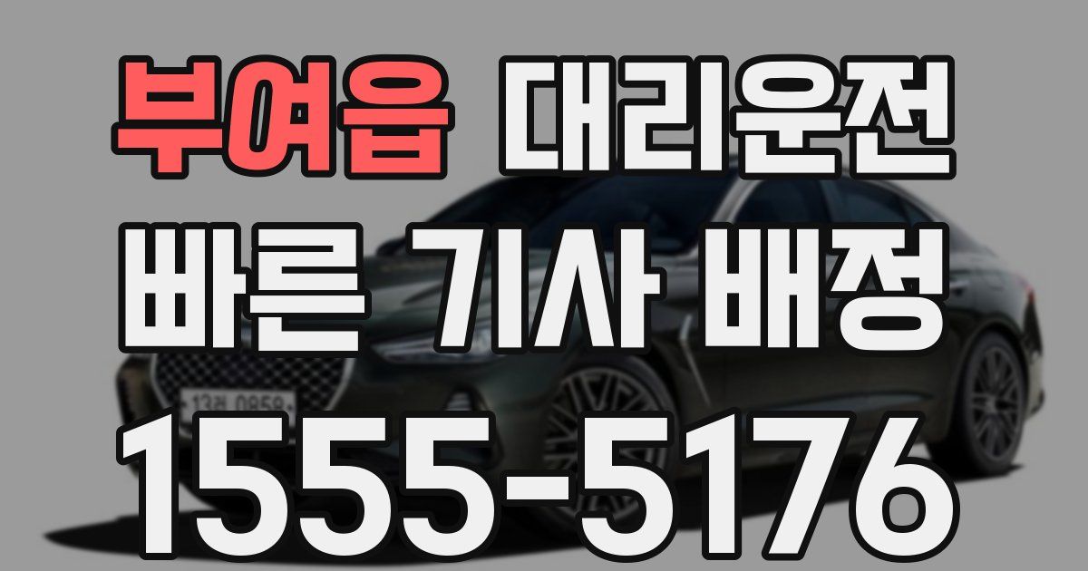 일일대리기사