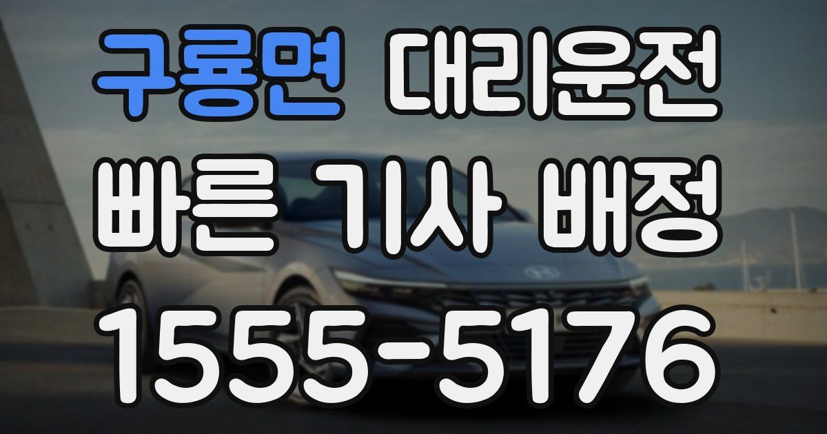 일일대리기사