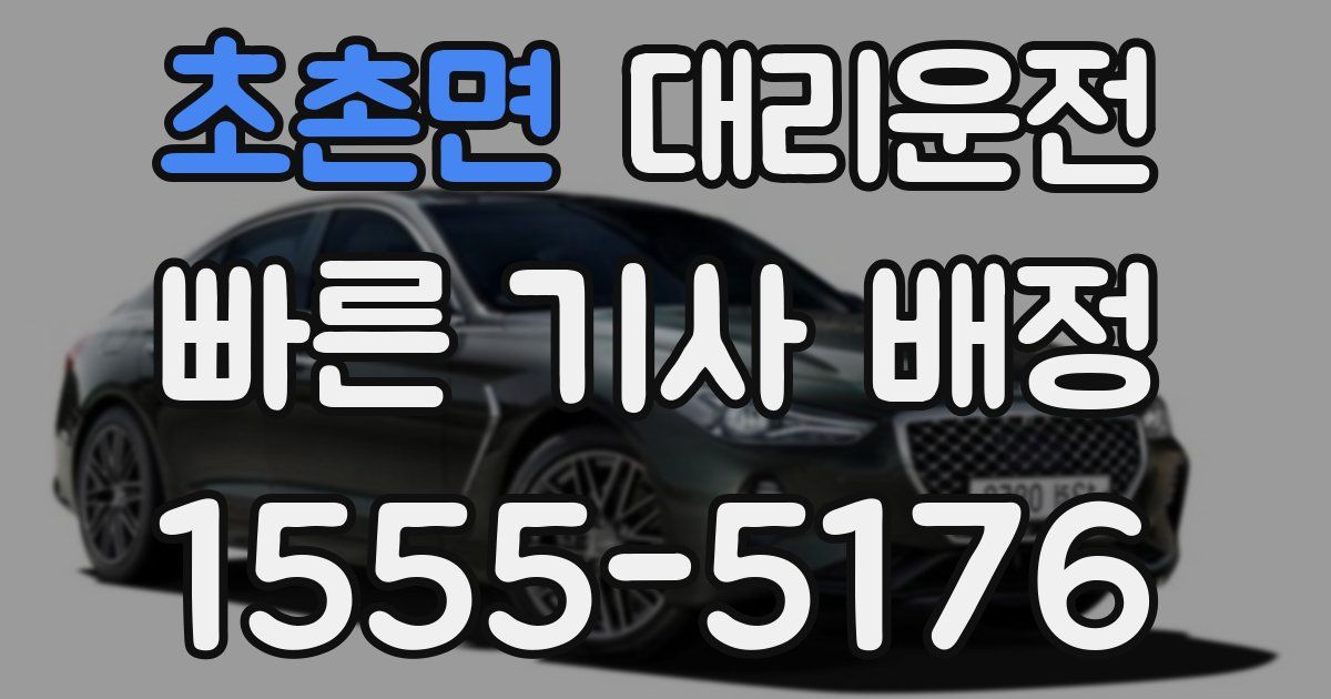 일일대리기사