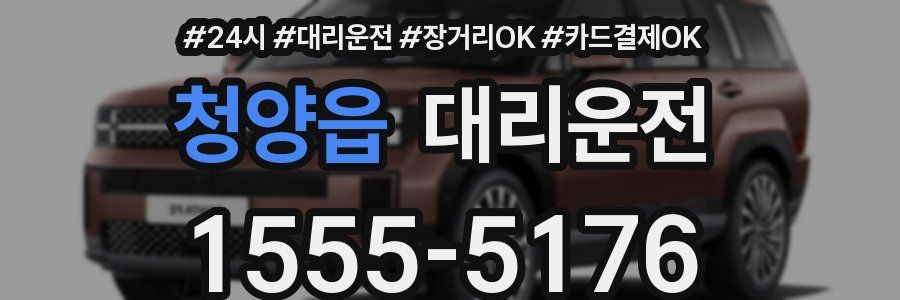 청양읍 대리운전