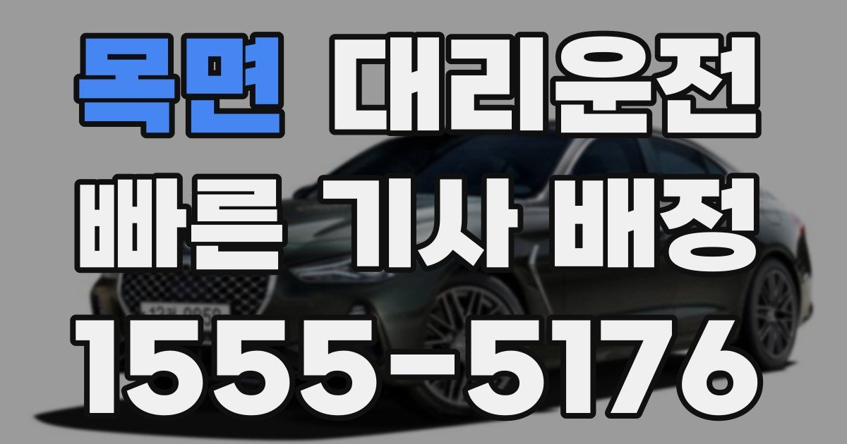 일일대리기사