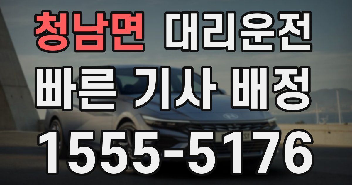 일일대리기사