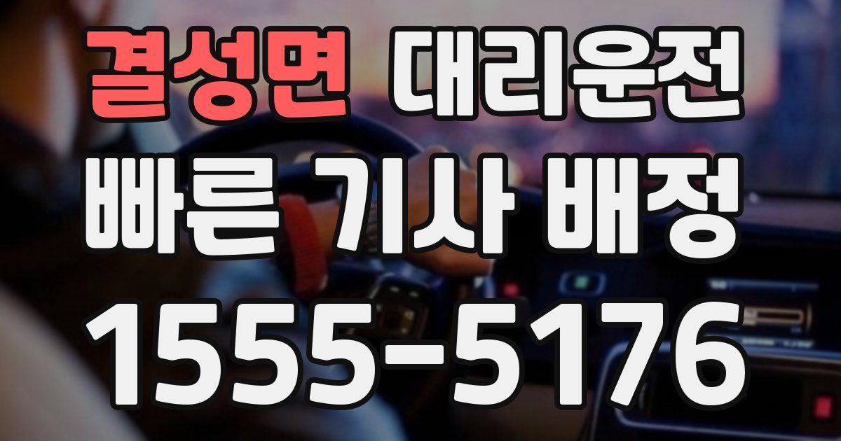 일일대리기사