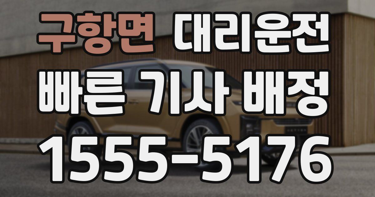일일대리기사