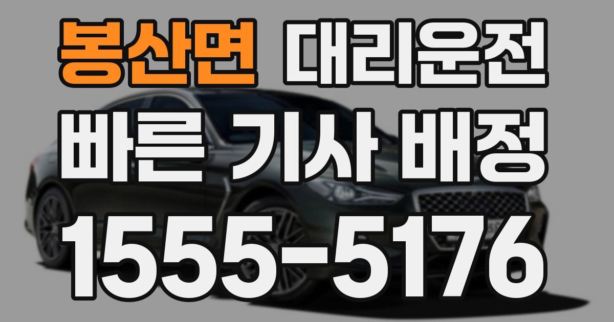 일일대리기사