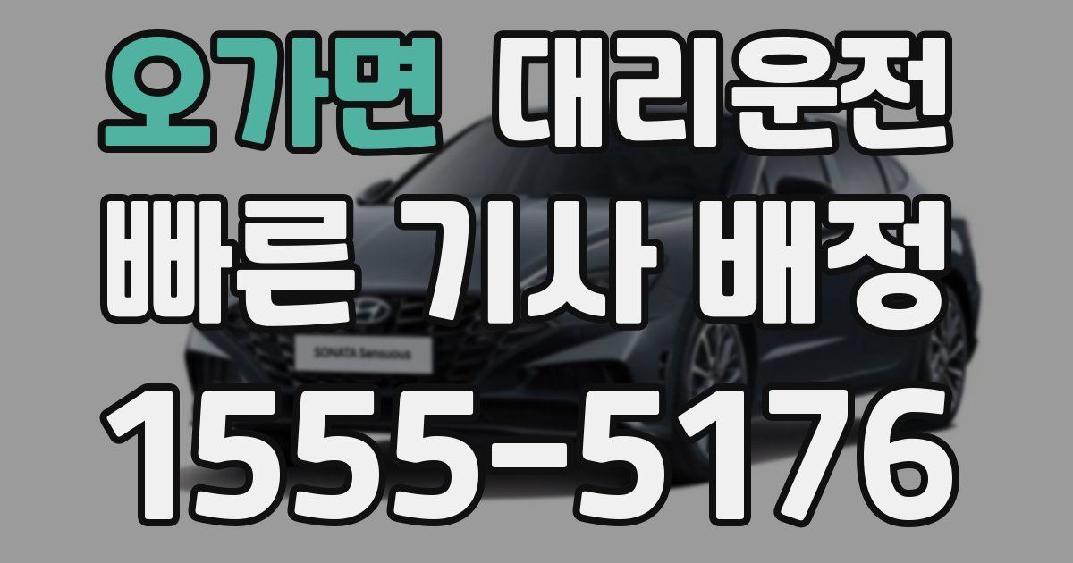 일일대리기사
