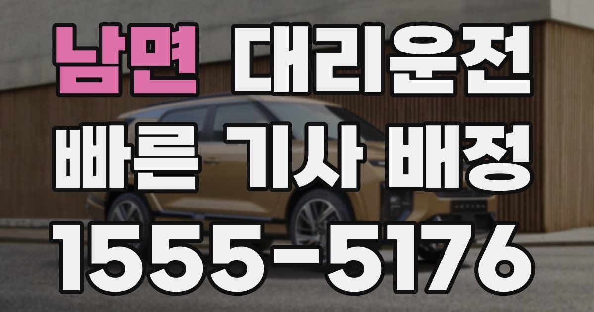 일일대리기사