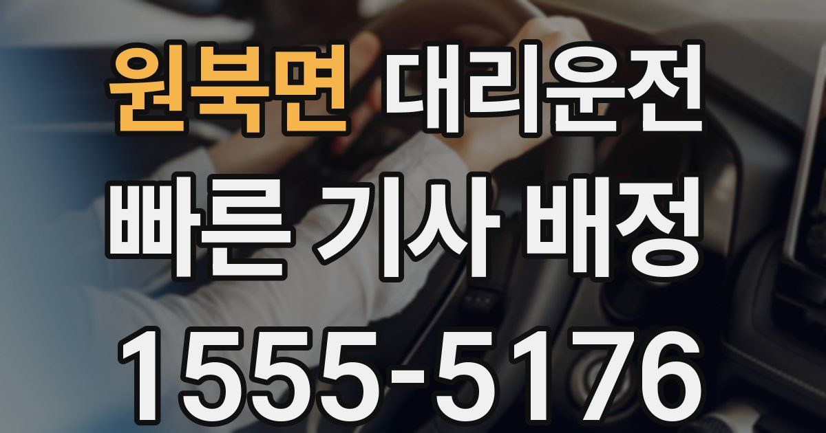 일일대리기사