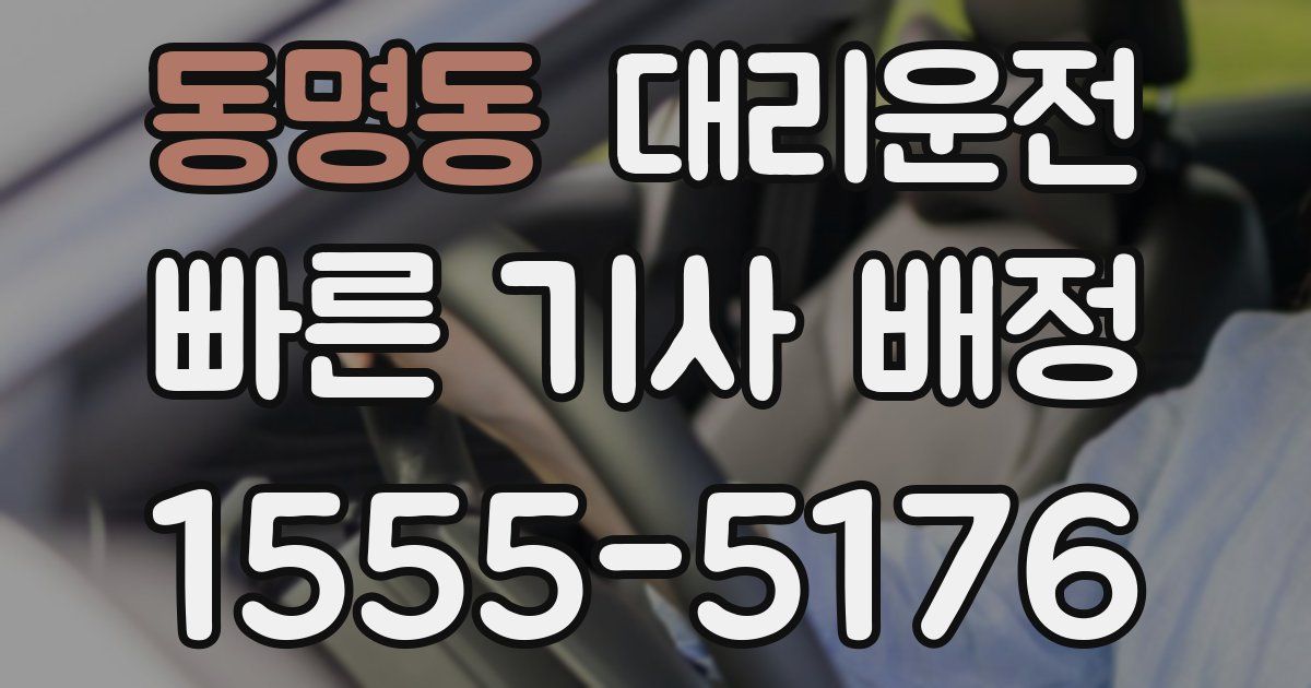 일일대리기사