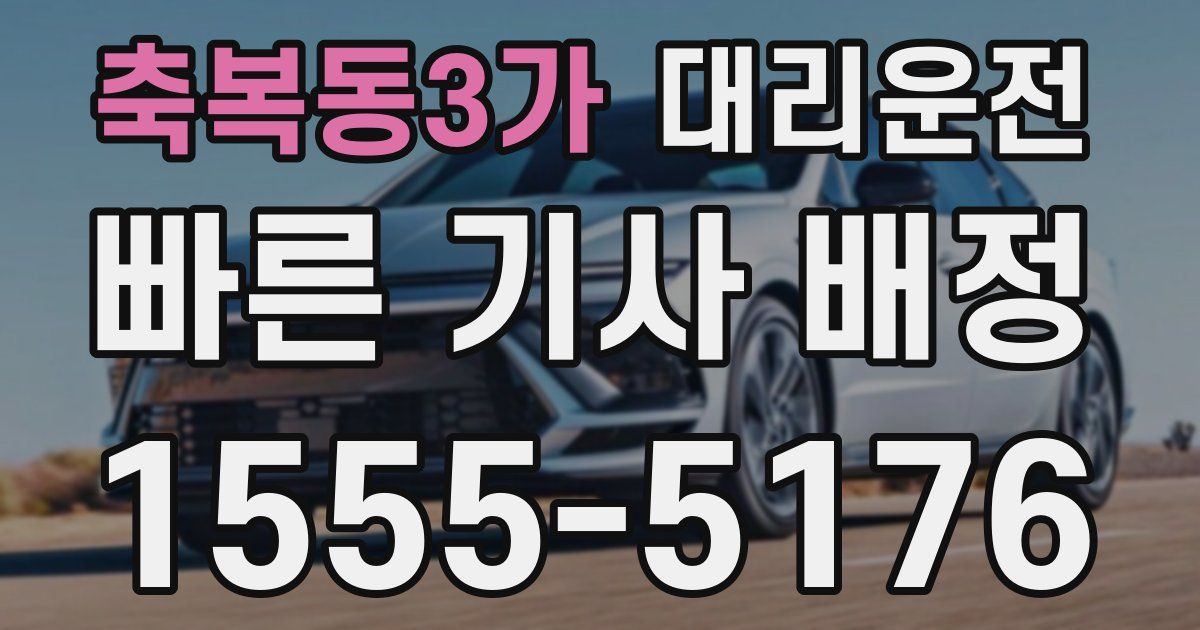 일일대리기사