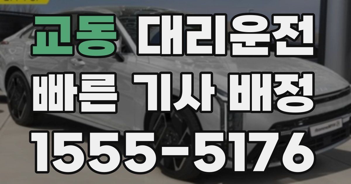 일일대리기사