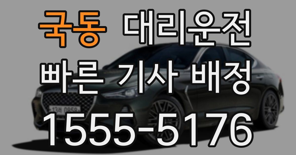 일일대리기사