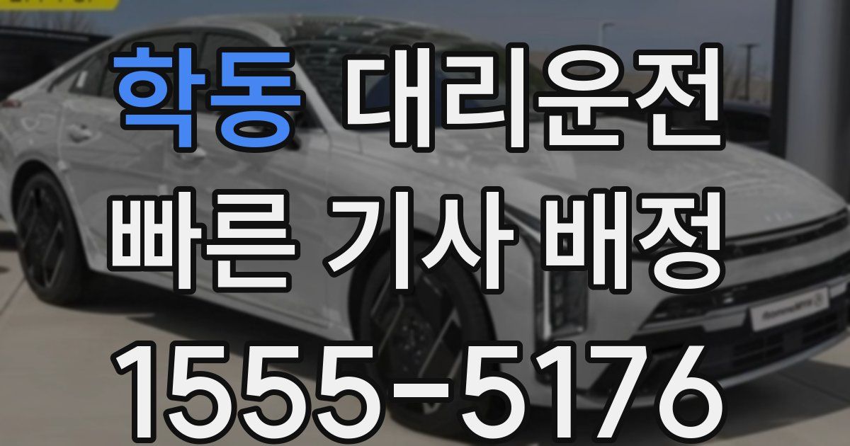일일대리기사