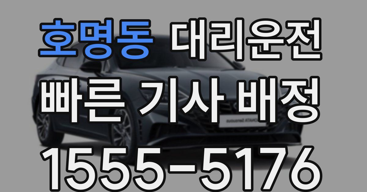 일일대리기사