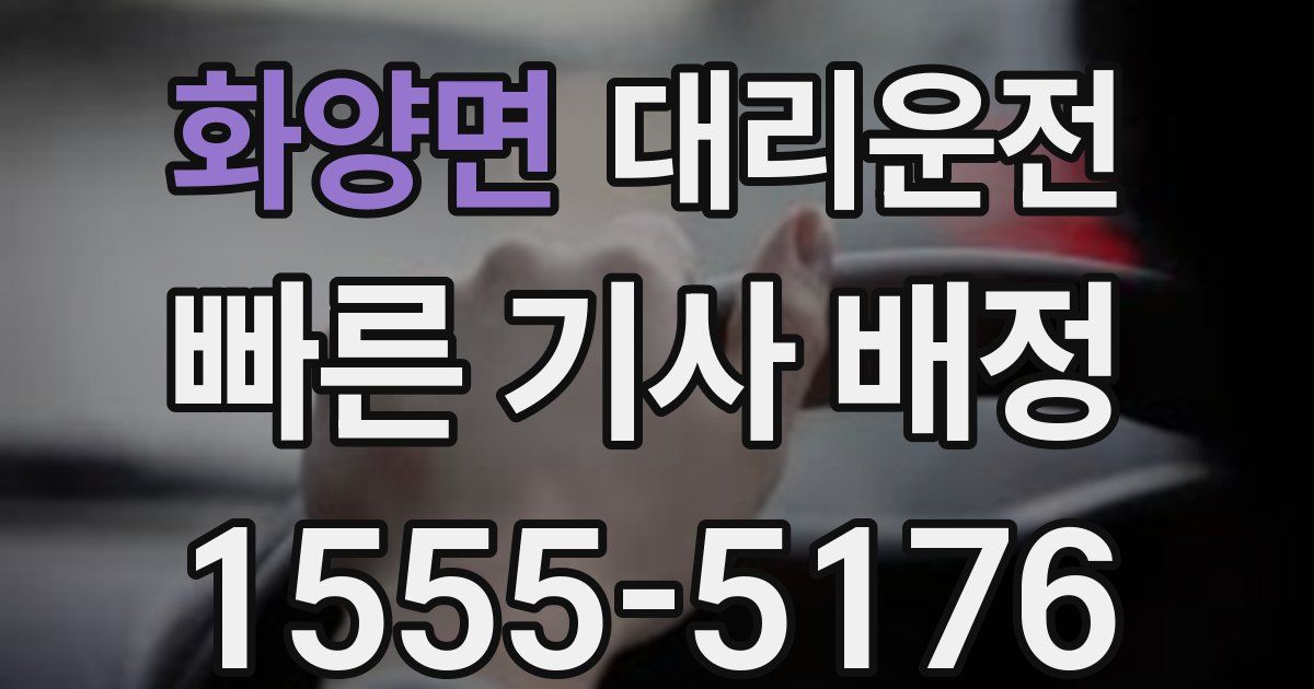 일일대리기사