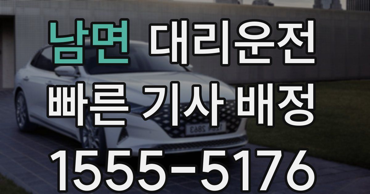 일일대리기사