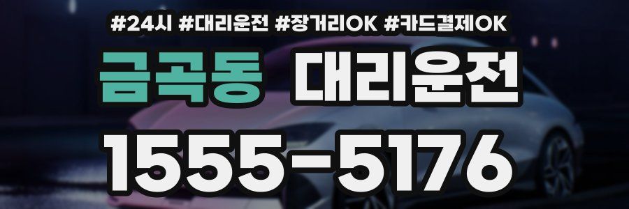 금곡동 대리운전