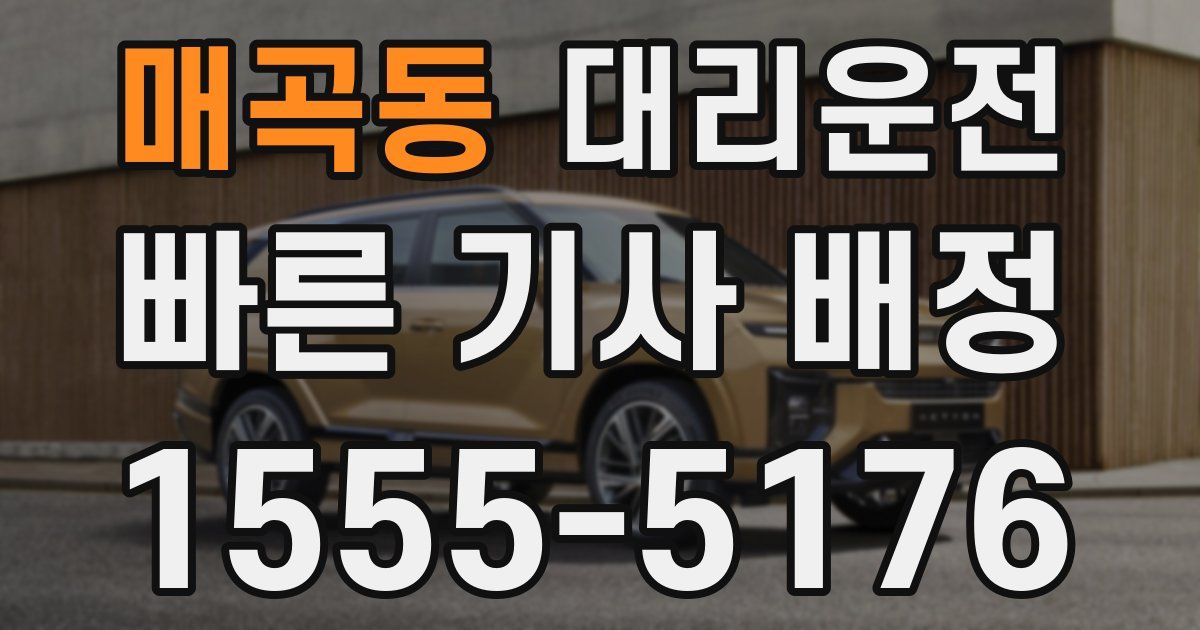 일일대리기사